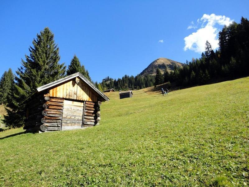 Hotel Ehrwalderhof Экстерьер фото