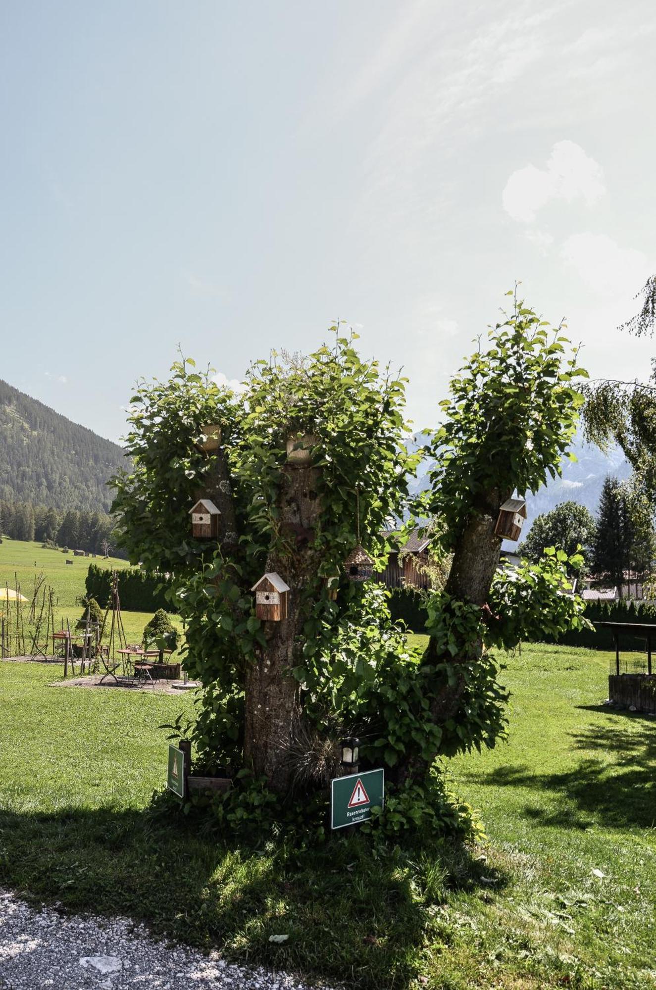 Hotel Ehrwalderhof Экстерьер фото